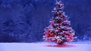 tumblr_static_decorated-christmas-tree-300x168